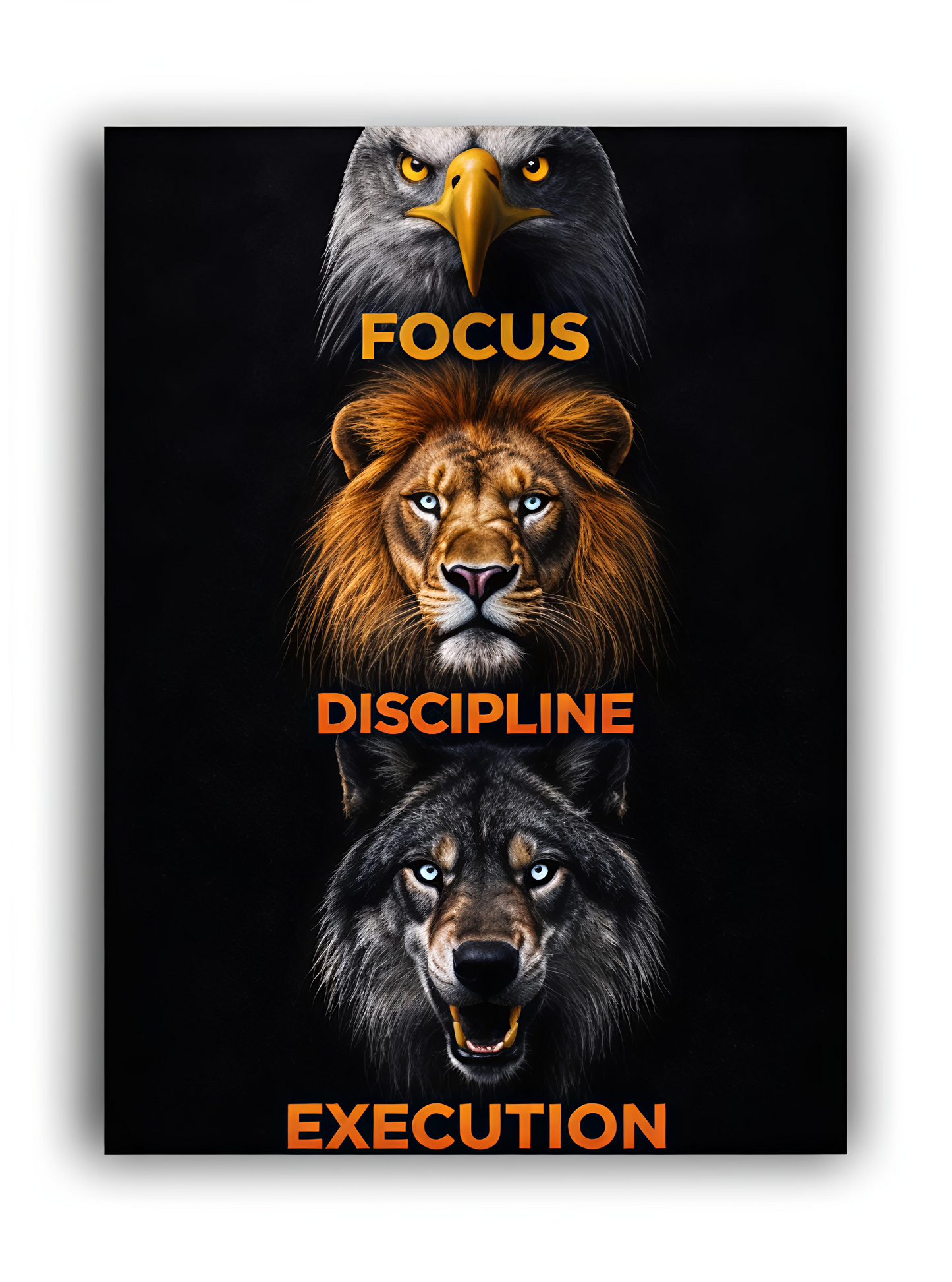 Focus, Discipline, Execution Poster